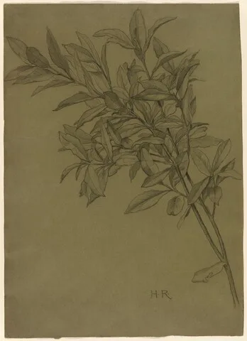 Henry Ryland, Study of Bay Leaves