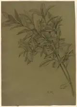 Henry Ryland, Study of Bay Leaves