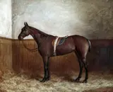 Frank Paton, 'The Flirt'