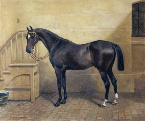 Frank Paton, 'Jewel'