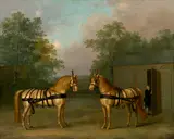 Francis Sartorius, Two Coach Horses