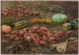 Maria Klass-Kazanowska, Still life – bumpkins and pumpkins in the field