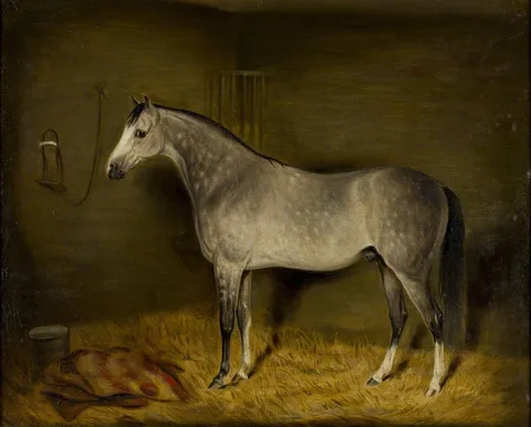 William Oliver, Arab Horse in a Loose Box