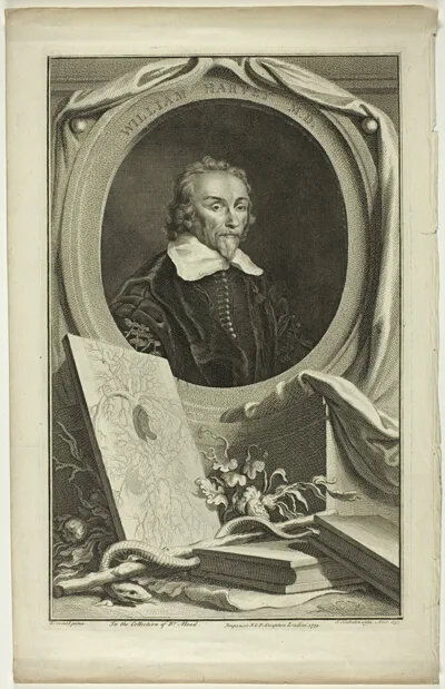 Jacobus Houbraken, William Harvey, M.D.