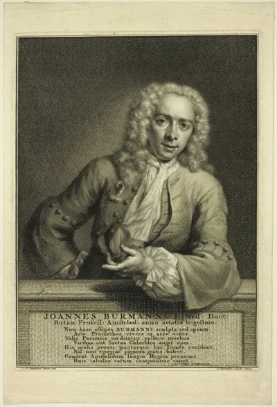 Jacobus Houbraken, J. Burmannus