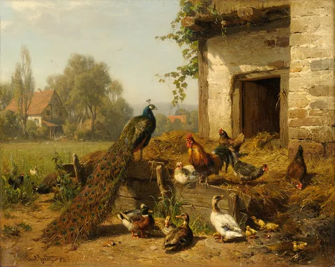 Carl Jutz, Colorful fowl