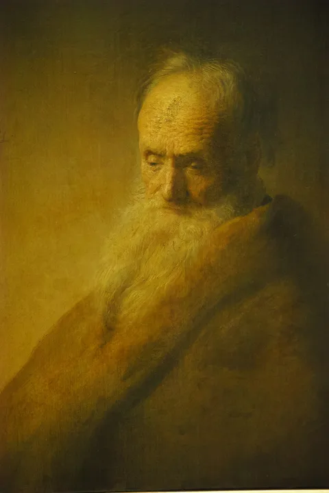 Jan Lievens, Bust of an Old Man