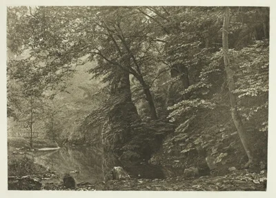 Peter Henry Emerson, "Pike Pool" (from below)