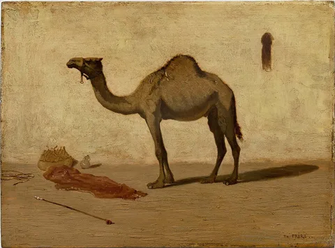 Théodore Frère, Camel