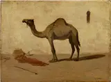 Théodore Frère, Camel