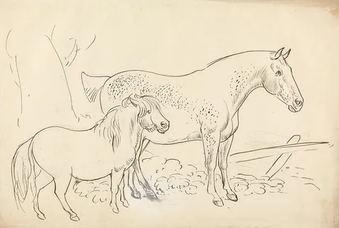 James Howe, Horse and Pony