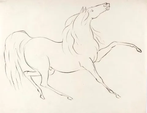 James Howe, A Horse - James Howe