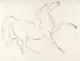 James Howe, A Horse - James Howe