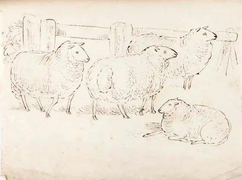 James Howe, A Flock of Four Sheep - James Howe