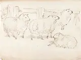 James Howe, A Flock of Four Sheep - James Howe