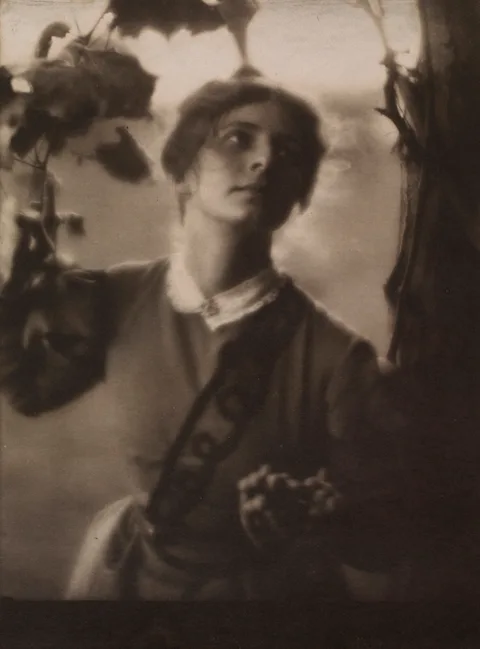 Clarence Hudson White, The Arbor (Julia Hall McCune)