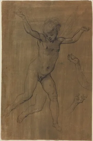 Jacopo da Empoli, An Angel in Flight