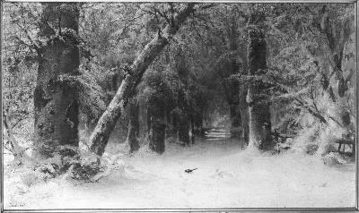 Sophus Jacobsen, Untitled