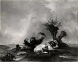 Joseph Heicke, Untitled