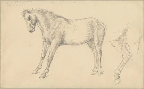 William Strutt, Studies of a Pony