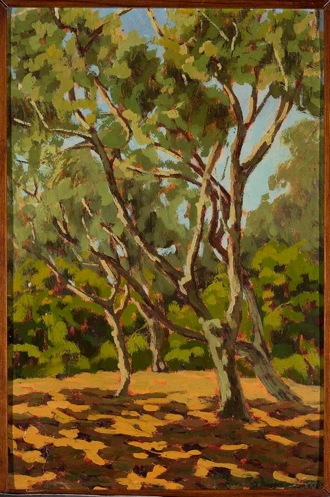 Jan Bohuszewicz, Olives and sunny glade