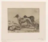 Joseph Moerenhout, Twee hazewindhonden bij een dode haas