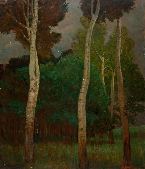 Eduard Ameseder, Before the Storm