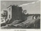 James Newton, Uske Castle, Monmouthshire