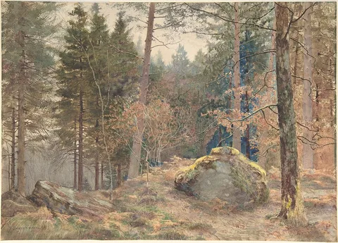 James Thomas Watts, In a Welsh Pine Wood