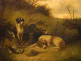 Edward Armfield, Retrievers with Game