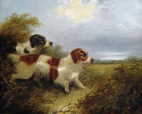 Edward Armfield, Two Terriers.