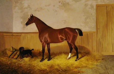 Colin Graeme Roe, Study of a Horse