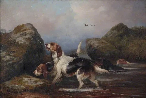 Colin Graeme Roe, Dogs