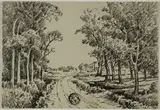 George Ernest Colby, Tree-Lined Road with Houses and Telegraph Poles in Distance
