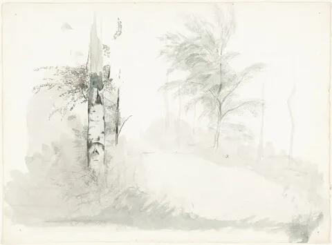 John Ruskin, Tree Study