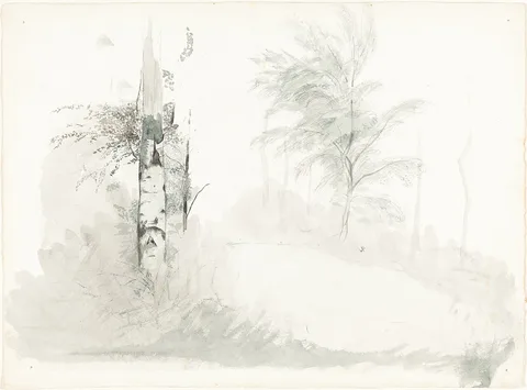 John Ruskin, Tree Study