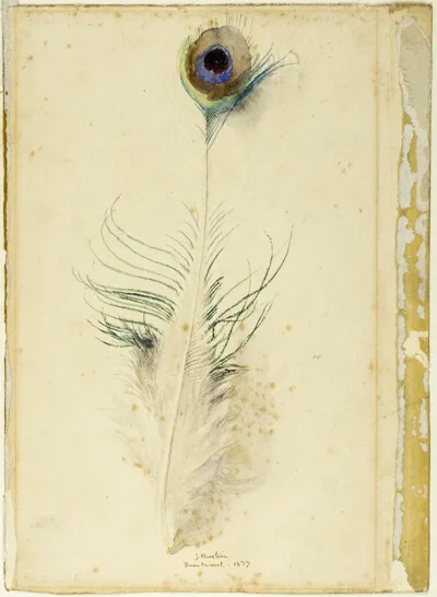 John Ruskin, Peacock Feather