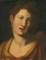 Cristofano Allori, Portrait of an unknown man