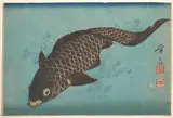 Keisai Eisen, Koi