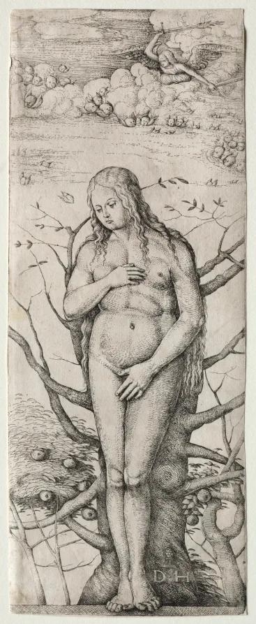 Daniel Hopfer, Eve