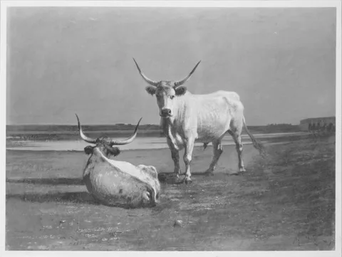 Alexander von Wagner, Untitled