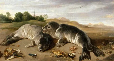 Paul de Vos, Two young seals on the shore