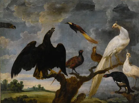 Paul de Vos, A Concert of Birds including an Eagle, a White Peacock and a Bird of Paradise.