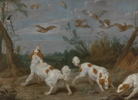 Paul de Vos, Partridge Hunt