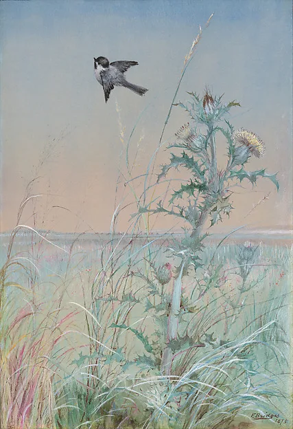 Fidelia Bridges, Chickadee and Thistle