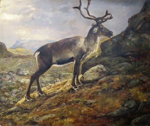 Johann Siegwald Dahl, Reindeer