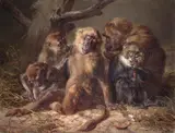 Johann Siegwald Dahl, Monkey Company