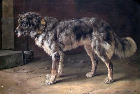 Johann Siegwald Dahl, A Dog