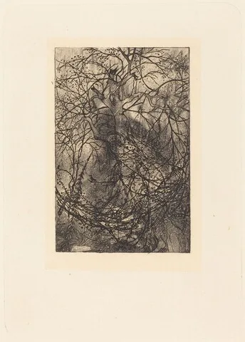 Rodolphe Bresdin, Branches
