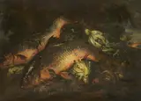 Felice Boselli, Still Life with Carp
